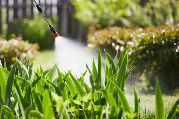 Tamper-Resistant Bait Stations for Rodents in Allendale