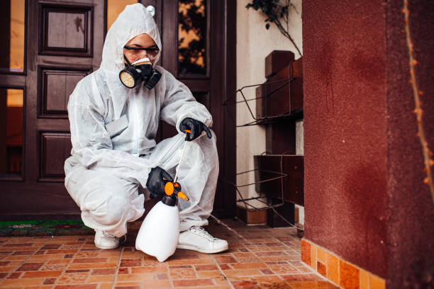 Attic and Crawl Space Rodent Treatment in Allendale