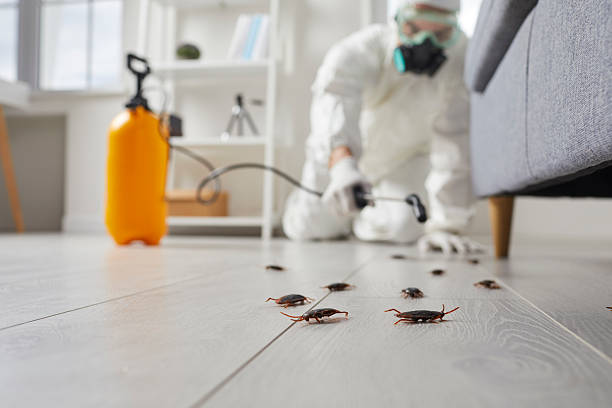 Commercial Rodent Management in Allendale